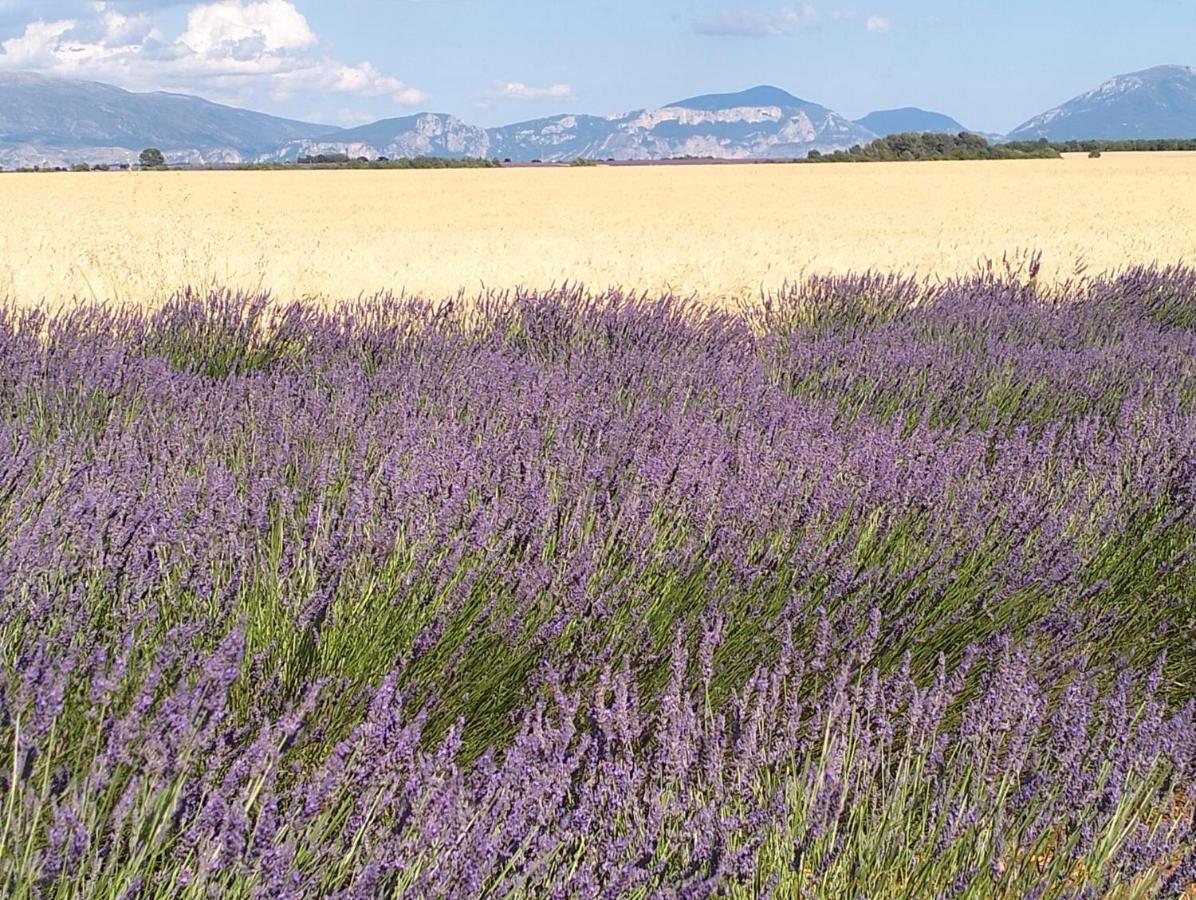 La Provence Vous Attend***!!! - 1Er Etage Digne-les-Bains Εξωτερικό φωτογραφία
