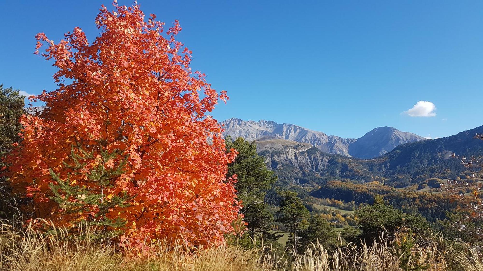 La Provence Vous Attend***!!! - 1Er Etage Digne-les-Bains Εξωτερικό φωτογραφία
