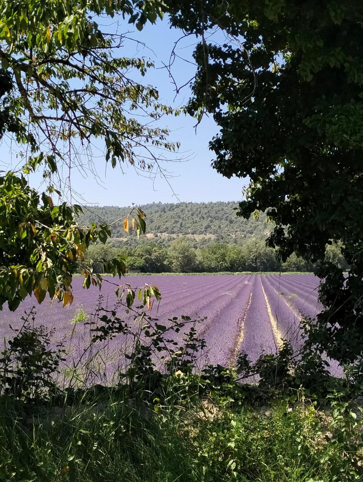 La Provence Vous Attend***!!! - 1Er Etage Digne-les-Bains Εξωτερικό φωτογραφία